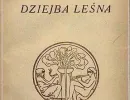 12. Leśmian Bolesław