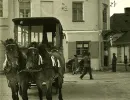 Omnibus konny